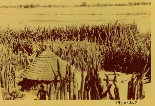 Hut inside a kraal