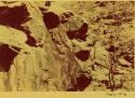 Petroglyphs on canyon wall