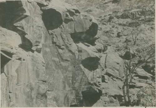 Petroglyphs on canyon wall