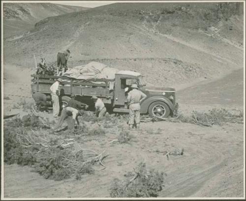 Expedition members putting brush under wheels of truck and retrieving something from the load (print is a cropped image)