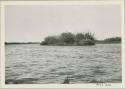 Island in the Okavango River