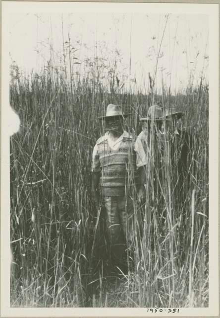 People standing in tall grass in the Okavango delta