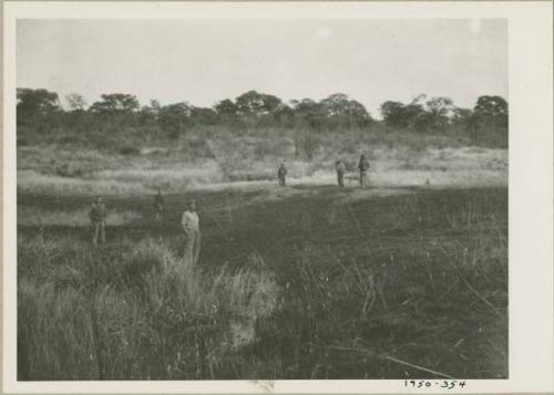 Expedition members standing next to an elephant trail, distant view