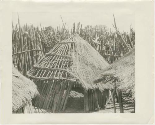 Hut, partly finished, and wall of wooden poles in the background (print is a cropped image)