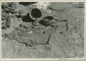 "Gao Medicine's" possessions including a wooden bowl, spoon, an Ovambo clay pot, and a quiver