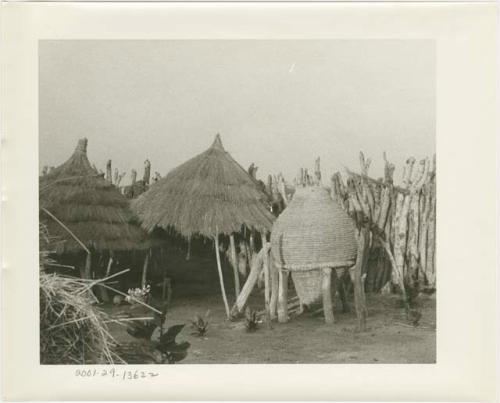 Large storage basket in a kraal supported by wooden poles and two thatched roofs supported by wooden poles (print is a cropped image)