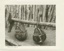 Churns made from gourds suspended from a pole inside a kraal (print is a cropped image)