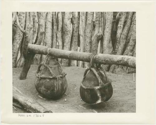 Churns made from gourds suspended from a pole inside a kraal (print is a cropped image)