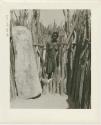 Woman standing in the opening of a kraal fence (print is a cropped image)