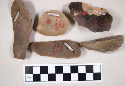 Chipped stone, flint scrapers, some with cortex