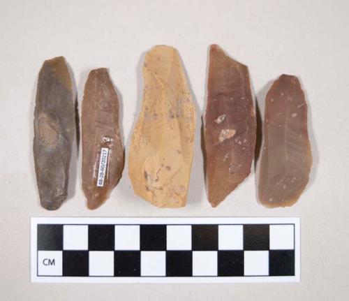 Chipped stone, flint blades, some with cortex, some with possible retouching or use wear