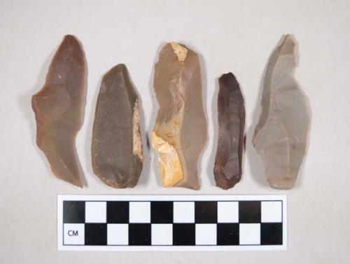 Chipped stone, flint blades, some with cortex, some with possible retouching or use wear