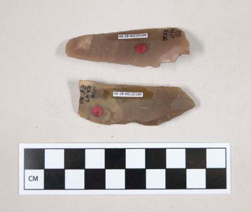 Chipped stone, flint blades, one with possible notch