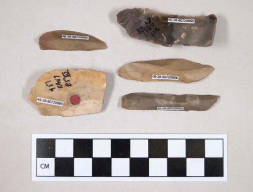 Chipped stone, flint blades, one with cortex, some with retouching or use wear