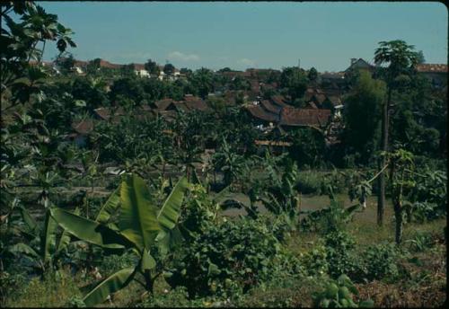 View of Yogyakarta