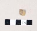 Undecorated yellowware rim sherd