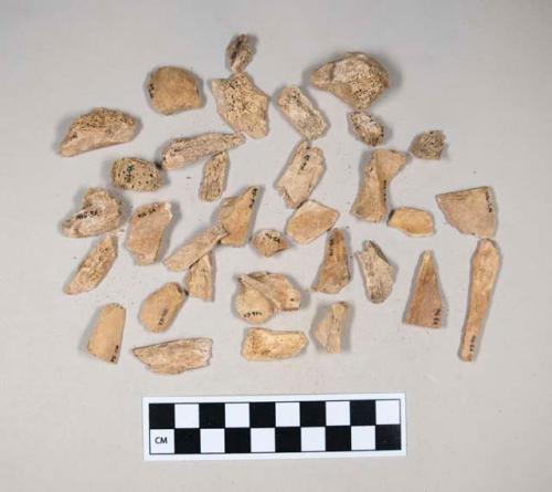 Animal bone fragments, many with butchery marks