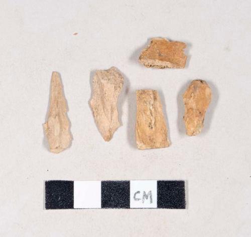 Animal bone fragments, some with butchery marks