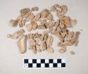 Animal bone fragments, some with butchery marks