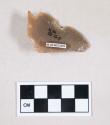 Chipped stone, flint edged tool, with cortex