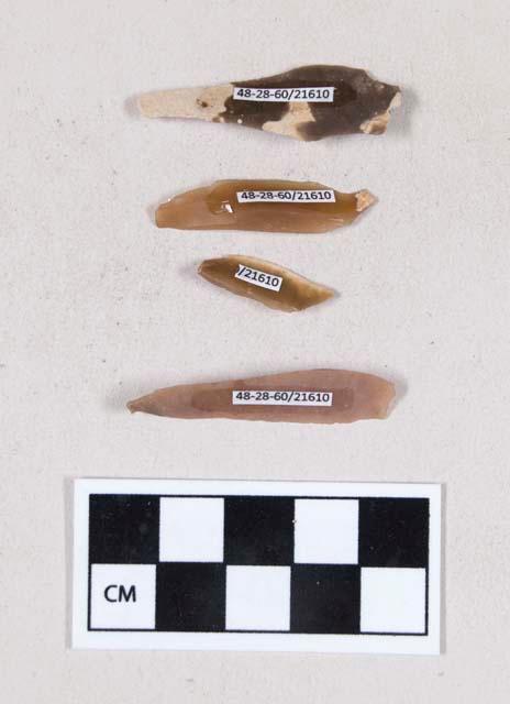 Chipped stone, flint blades, some with cortex, some with possible retouching or use wear