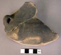 Fragments of pottery "amphora"