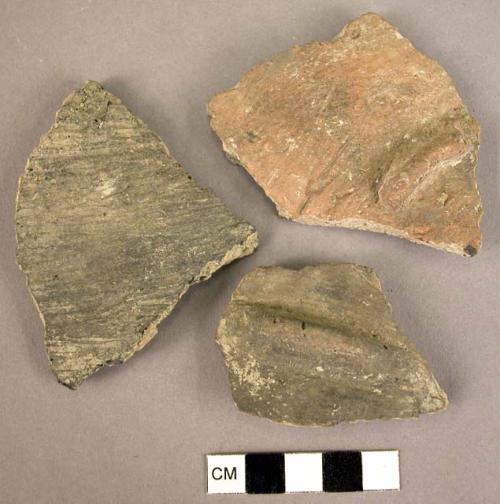 Fragments of pottery storage jars