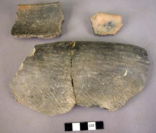 Fragments of pottery storage jar