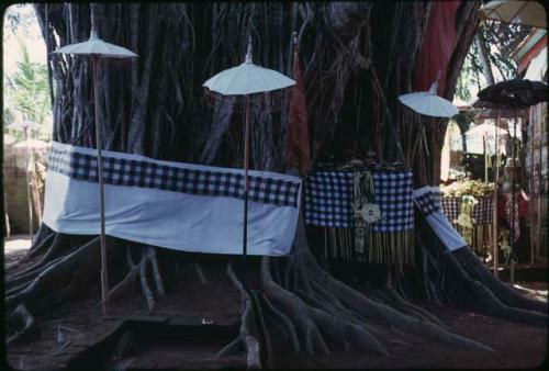 Decorated Banyan tree at Kuningan ceremony