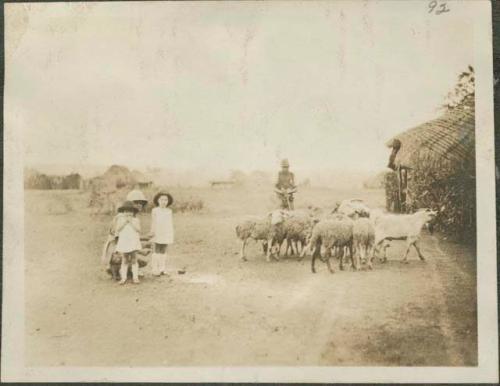 Baron van Zuylen and his two young daughters next to sheep at Feradje, a post in the Belgian Congo