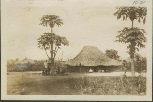 Thatched building from Feradje westward, a post in the Belgian Congo