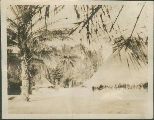 Ekibondo village with view of oil palms