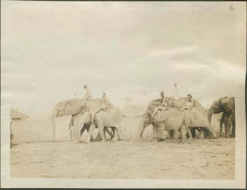 Line of people riding elephants on elephant farm, Gangara