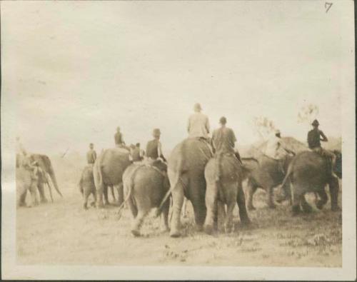 Line of people riding elephants on elephant farm, Gangara