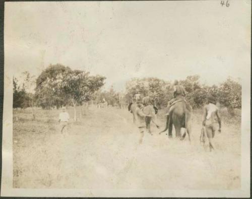 Line of people riding elephants