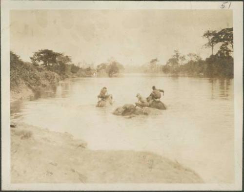 People riding elephants in the river