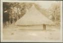 Bongassou to Bangui, view of thatch-roofed building