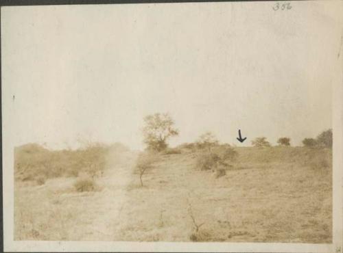 Mound near Fort Lamy