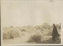 Person standing near remains of village