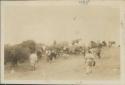 Horses being reloaded with bags after crossing the river