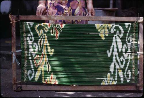 Warp threads dyed for ikat weaving