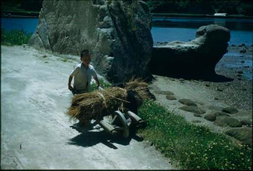 Boy pushing wheelbarrow