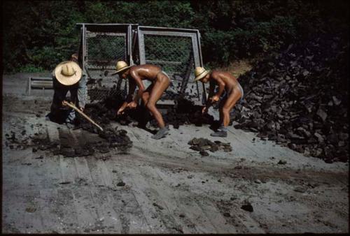 Miners sorting coal