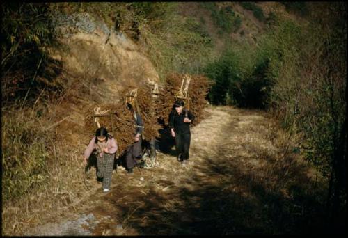 People carrying bundles along a path