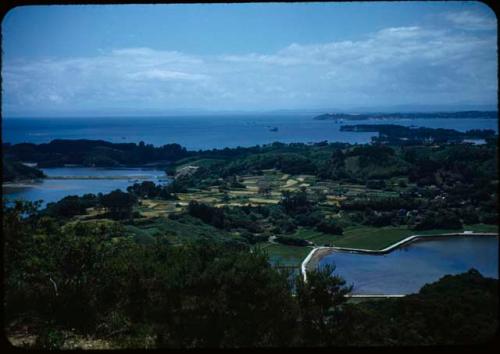 View from Otako-Mori