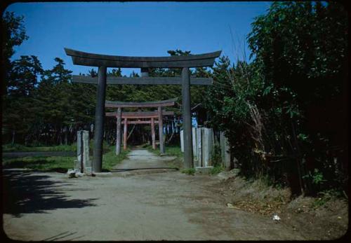 Torii