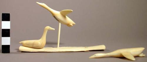 Ivory carving - 3 loons (one with fish in mouth) on ivory platform