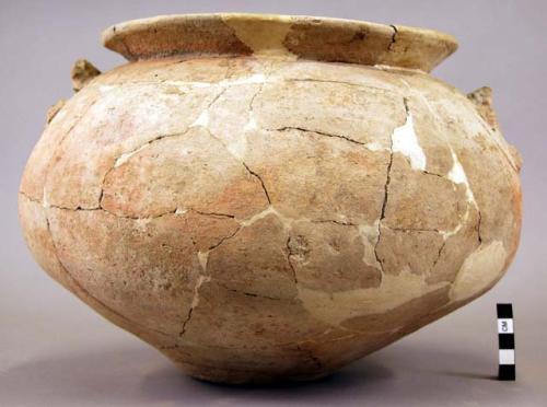 Pottery urn, vernegal shape