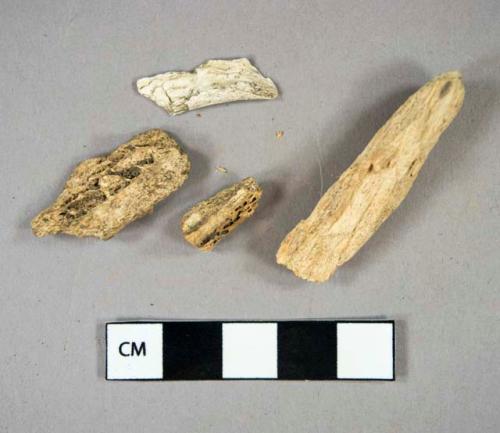 Organic, bone, faunal remain, mammal (7), calcined (1), fragments; Organic, wood, fragment