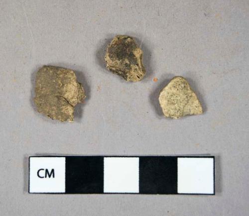 Bone and coal ash fragments